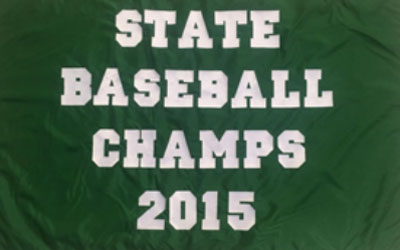 Newark Catholic High School Baseball State Champs 2015